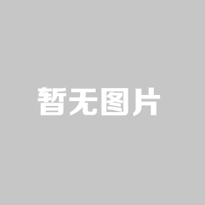 灰熔點測定儀廠家_華電分析儀器_具有口碑的灰熔點測定儀公司